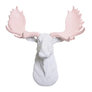 Cameo Pink Antlers