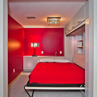 Design ideas for a contemporary basement in Minneapolis.