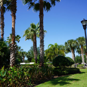 Outdoor Living Spaces
