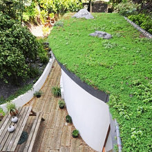 Landscape Ideas