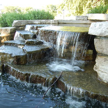 Pond