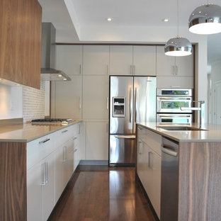 White Flat Panel Cabinets Houzz
