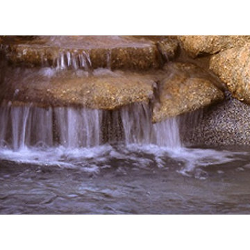 Freeform Pool