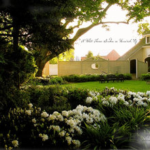 white garden