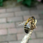 Foto von Becca Owens