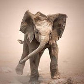 Cheryl Esposito's photo