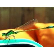 Ali Martin's photo