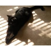 Susan Winterbottom's photo