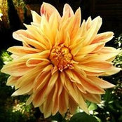 Ana Borralho's photo