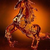 Sherry Kumlin's photo