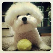 Chloe Bouxsein's photo