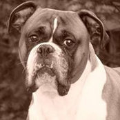 Keri Van Hise's photo