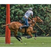 Polito Pieres's photo