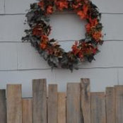 Deborah Fehlhafer Cox's photo