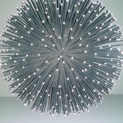 Patrick Mellan's photo