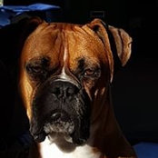 Jean McCormack's photo