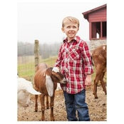 Diane Laughter's photo