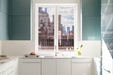 Kitchen - contemporary kitchen idea in New York