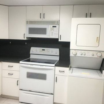 Contemporary Kitchen Remodel