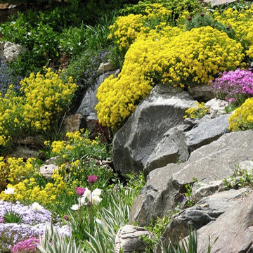 Contemporary Foothills Water Feature
