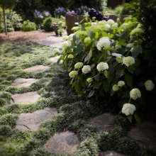 Walkway Ideas