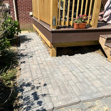 Backyard Update