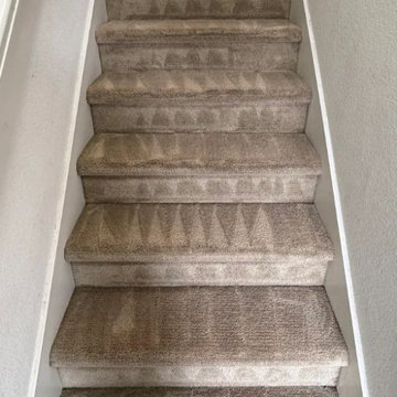 Carpet Cleaning in Aurora, CO