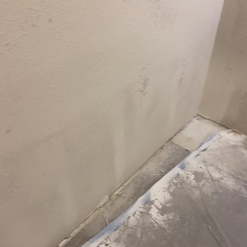 Apartment Mold Mitigation and Rebuild