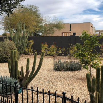 Wittmann AZ. exterior paint consultation