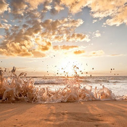 Sunshine & Froth by Joel Coleman - Photographs