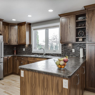 Saskatoon, Renovation - Terra