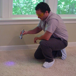 Carpet Cleaning - Flooring