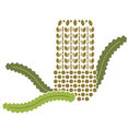 Davidson Design Studio's profile photo