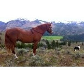 Lloyd Hannemann's photo