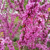 Marlene Schnellendorfer's photo