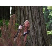 Pattie Dickinson's photo