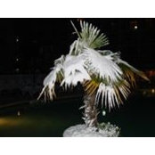 Richard Wentz's photo