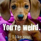 Kimberlee Abels's photo