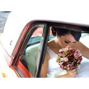 Nicole Smith's photo