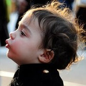 Steve Miceli's photo