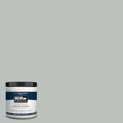 BEHR #710E-3 Rhino - Paint