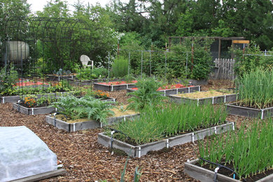 Garden Bed Irrigation
