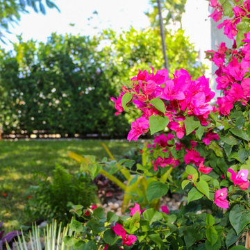 Miami Landscape Project