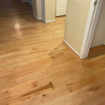 American Cherry Wood Gallery