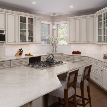 Oakton Kitchen Facelift