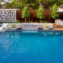 Pool/Backyard