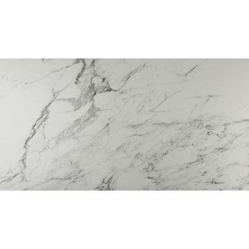 MSI N1224 12" x 24" Rectangle Floor and Wall Tile - Matte Visual - Carrara