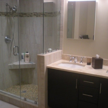 Reston Master Bathroom