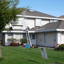 Roof shingles