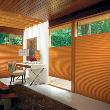 Room Darkening Hunter Douglas Window Treatment Ideas